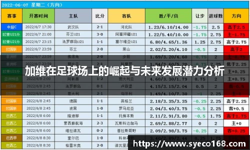 加维在足球场上的崛起与未来发展潜力分析